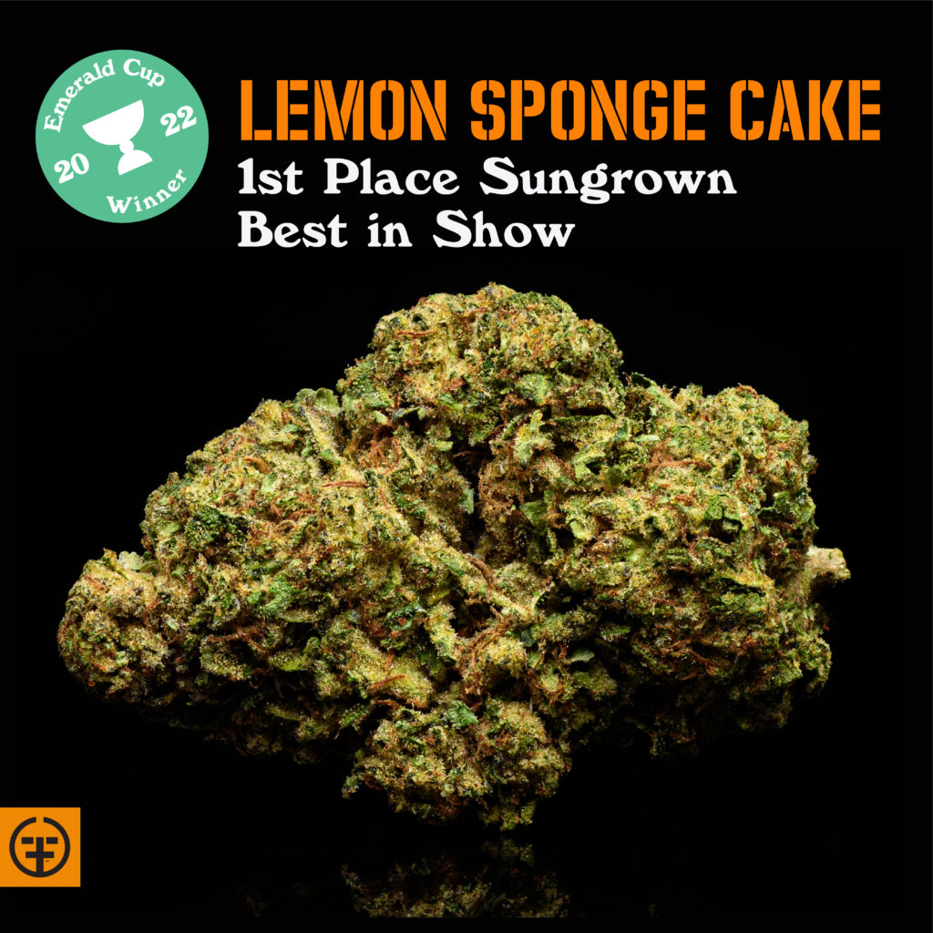 Farmer and the Felon's Lemon Sponge Cake - 1st Place Sungrown and Best in Show at the Emerald Cup 2022