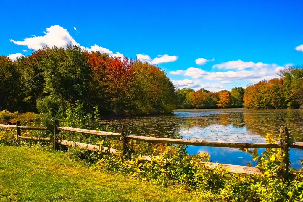 5 Best Walks to See Sonoma County’s Autumn Colors - a pond surrounded by trees