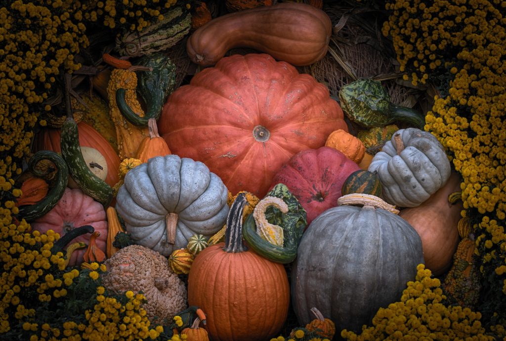 A diverse bounty of pumpkins and squash to celebrate Croptober